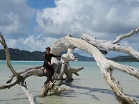 DSC03943