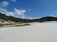 DSC03961