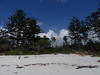 DSC03967