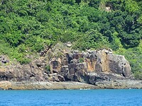 DSC03989