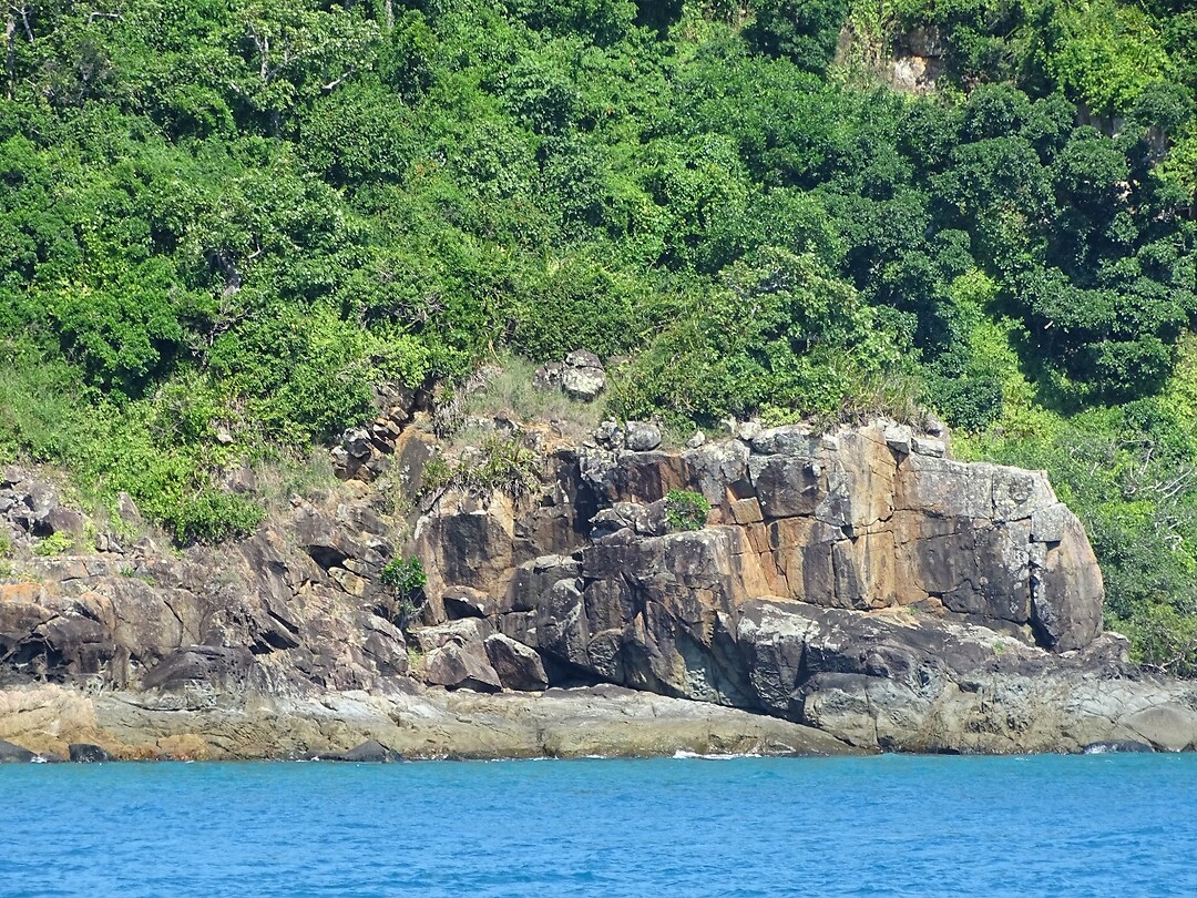 DSC03989