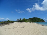 DSC03992