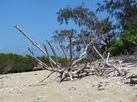 DSC03995