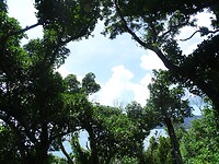 DSC03997