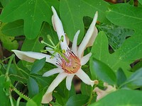 DSC04013