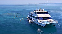 cairns-dive-tour-1260x700