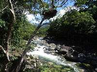 DSC04033