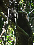 DSC04056