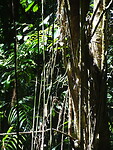 DSC04054