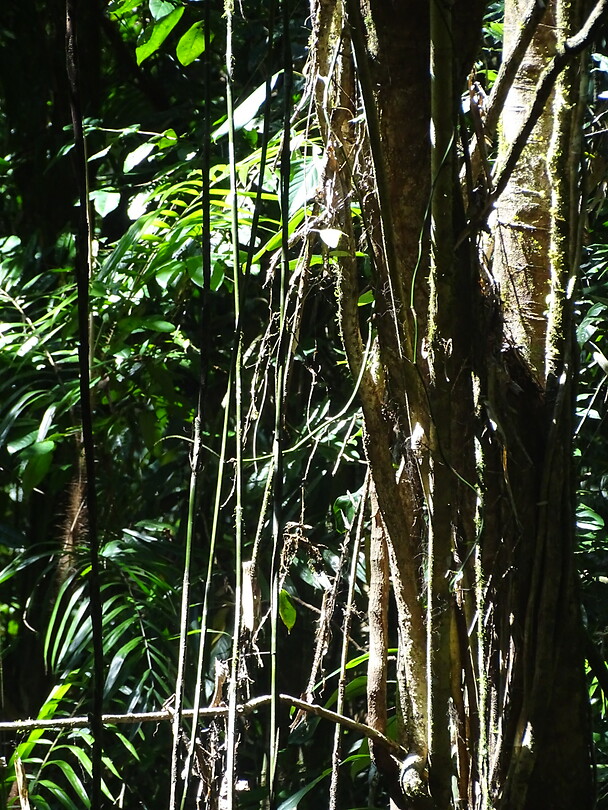 DSC04054