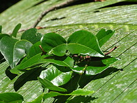 DSC04060