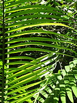 DSC04059