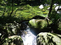 DSC04066
