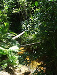 DSC04069