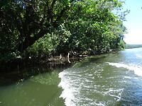 DSC04072