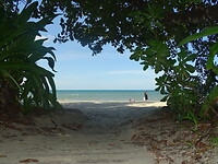 DSC04124