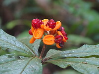 DSC04126