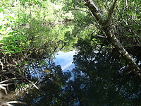 DSC04135