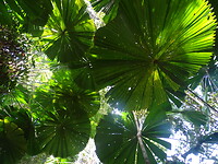 DSC04138