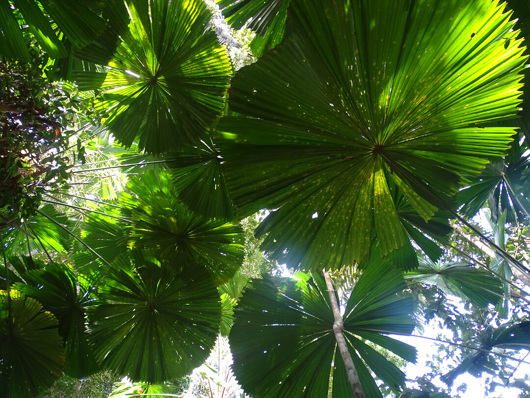 DSC04138