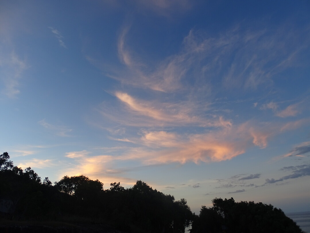 DSC04167