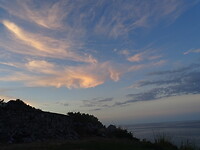 DSC04163