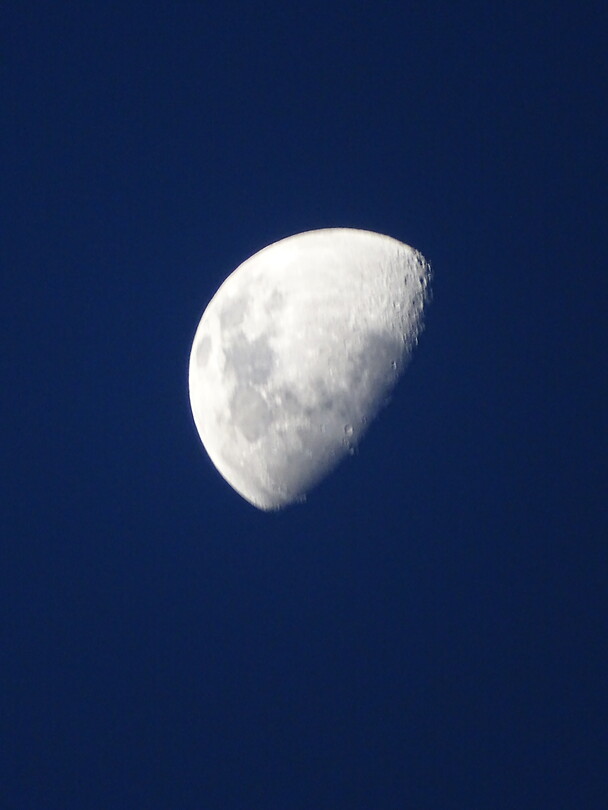 DSC04160