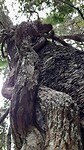 IMG_20210609_110327_548