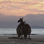IMG_20210607_190050_953