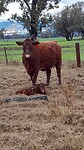 IMG_20210715_115131_291