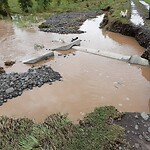 IMG_20211126_140806_982