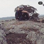 Screenshot_20211208-131512_Instagram