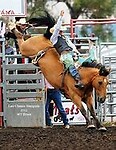bareback