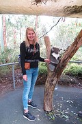 Lucy de Koala
