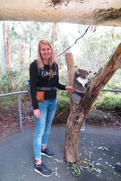 Lucy de Koala