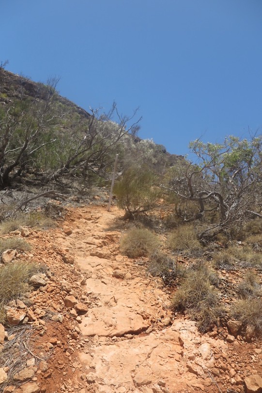 Cape Range N.P.