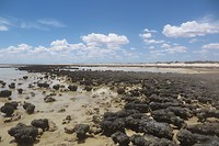Stromatolieten