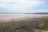Pink lake