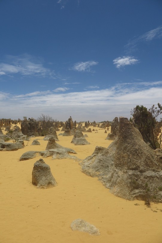 The Pinnacles