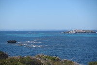 Penguin Island