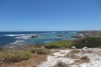 Rottnest Island