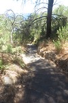 Leuke wandelroute