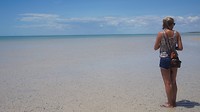 At Shell Beach..