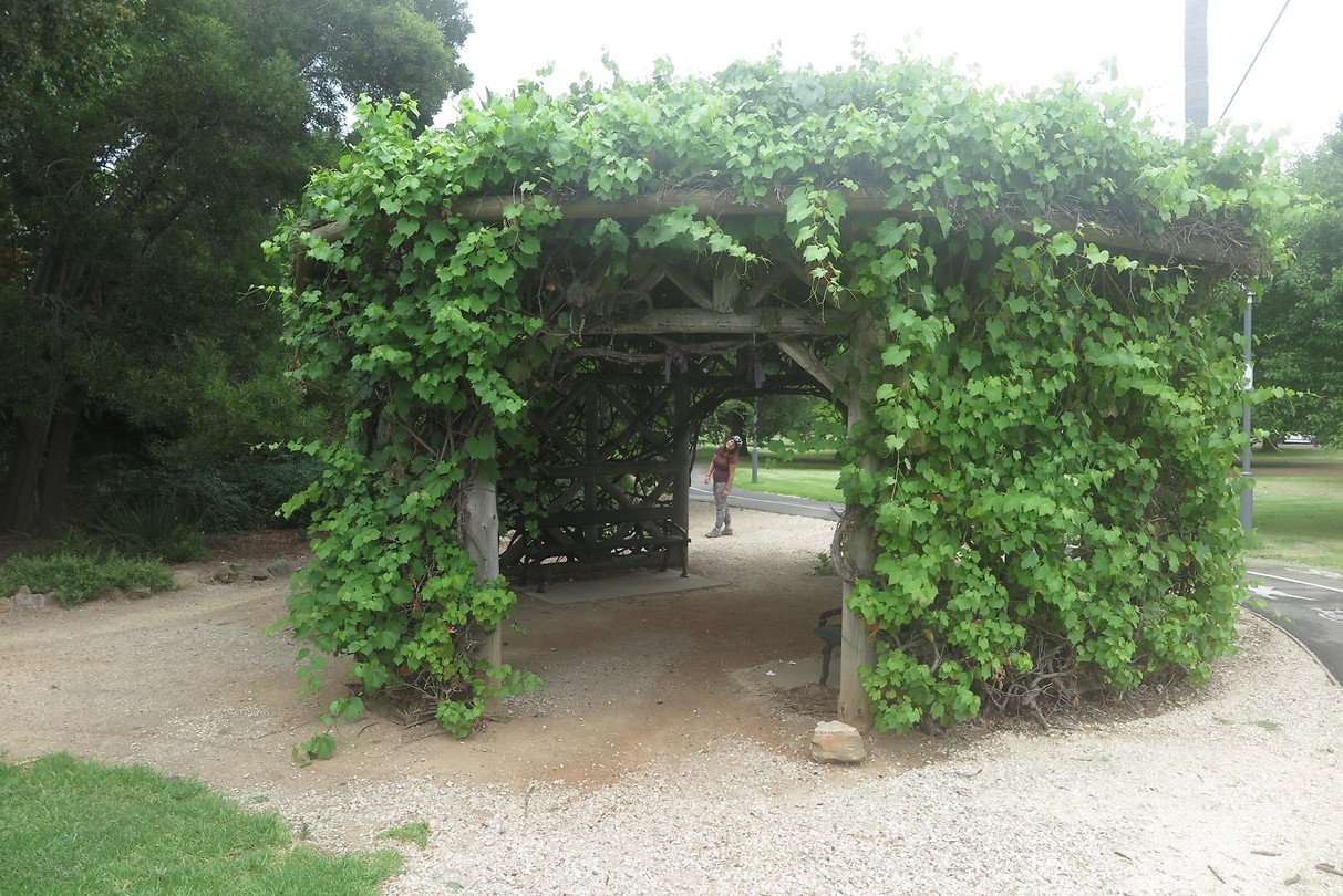 Het park in Adelaide