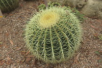 Botanische tuin