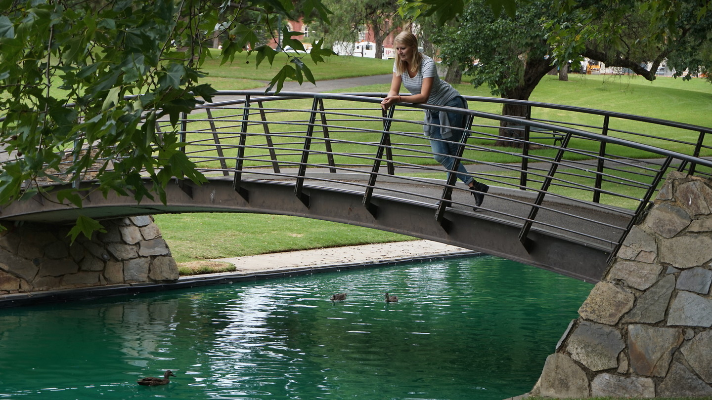 Het park in Adelaide