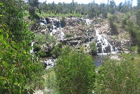 Mckenzie falls