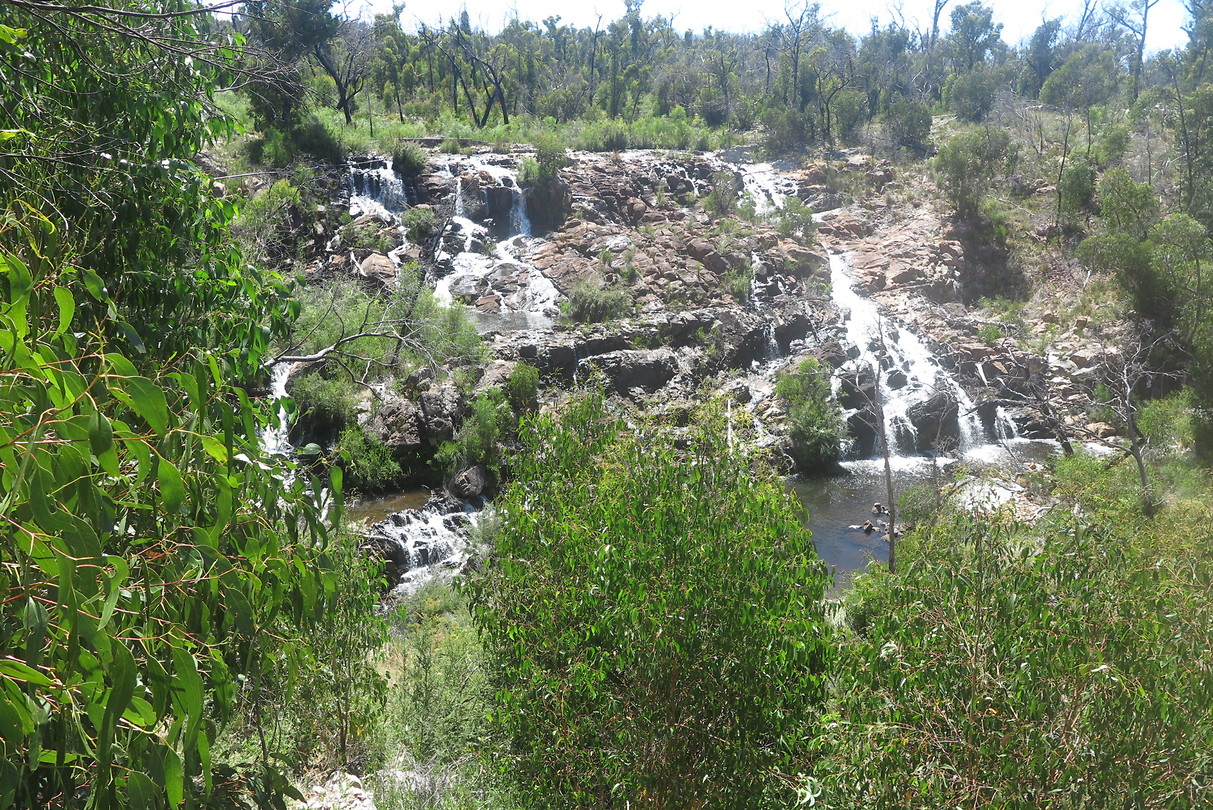 Mckenzie falls