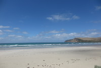 Cape Bridgewater