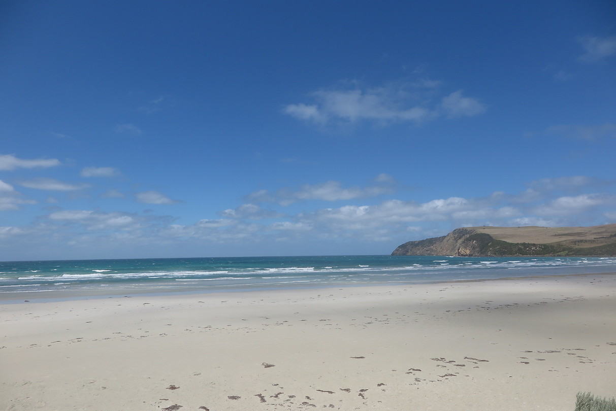 Cape Bridgewater